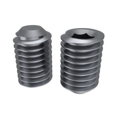 Bremick - SS316 Socket Set Screw ISO M5 x 12mm (Box of 100)
