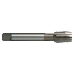 Sutton Tools - Tap T178g 1/4-19 (BSPF) Gun N DIN5156 B HSSE | T1781316