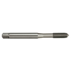 Sutton Tools - Tap T309m 1 x 0.25 6Hx Forming N DIN2174 C HSSE | T3090100