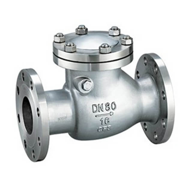 IFS Stainless Steel Swing Check Valve