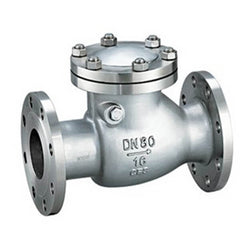 IFS Stainless Steel Swing Check Valve
