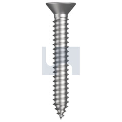 Hobsons - #10 x 1 304 STAINLESS ANSI B18.6.3 / A2 SELF-TAPPER CSK SQUARE (Pack of 100)
