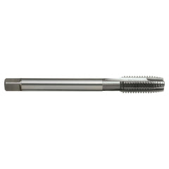 Sutton Tools - Tap T649m 16 x 2 6H Gun LH N DIN376 B HSSE | T6491600