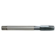 Sutton Tools - Tap T153m 16 x 2 6Hx Spiral L12 Ti DIN376 B Pm-co TiCN | T1531600