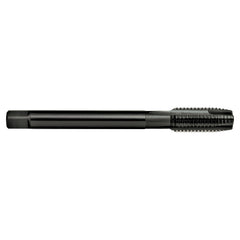 Sutton Tools - Tap T176 UNF 8-36 2B Gun Va DIN2184-1 B HSSE Blu | T1760417