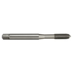Sutton Tools - Tap T328m 12 x 1.75 6Hx Forming Uni-ik DIN2174 C Spm TiAlN | T3281200