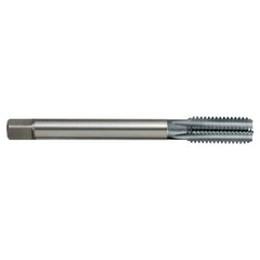 Sutton Tools - Tap T336m 20 x 2.5 6Hx Straight DC DIN376 E Spm TiCN | T3362000