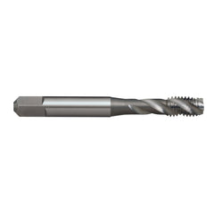 Sutton Tools - Tap T409 Mf 12 x 1.25 6H Spiral N Iso529 Bott HSSE | T4091206