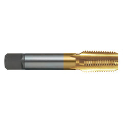 Sutton Tools - Tap T476 Rc 1/4-19 Z3 (BSPT) Str/flt ISO2284 Bott HSS TiN | T4761316