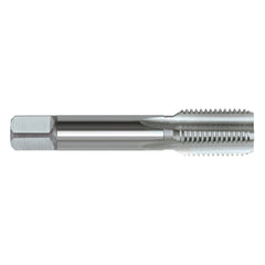 Sutton Tools - Tap T477 Rp 1-1/4-11 Z3 (Bsppl) Straight ISO2284 Bott HSS | T4774191