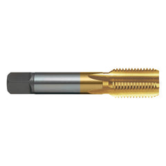 Sutton Tools - Tap T483g 3/8-19 Z3 (BSPF) Straight ISO2284 Bott HSS TiN | T4831666