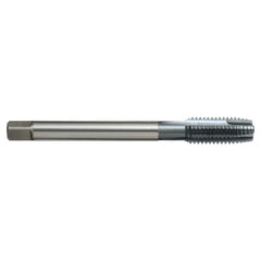 Sutton Tools - Tap T681m 20 x 2.5 6Gx Gun Va DIN376 B Pm-V3 TiCN | T6812000