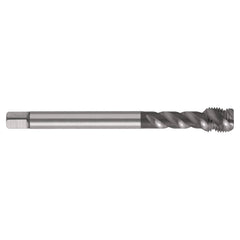 Sutton Tools - Tap T686 Mf6 x 0.75 6Hx Spl R50 Blk Magic DIN374 C Pm-V3 Hrdlb | T6860604