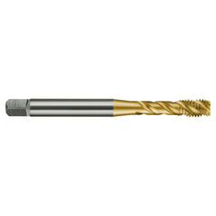 Sutton Tools - M20 Tap T837 x 2.5 6H C R45 N+ DIN376 HSSE TiN | T8372000