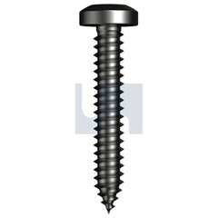 Hobsons - #6-20 x 1/4" - Black Passivate ANSI B18.6.3 Type Ab Self-Tapper Pan Phil - Zinc | T9PSVPP0620025