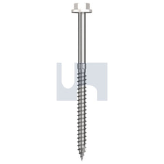 Hobsons - #14-10 x 100 - Dover White - + Scratchguard Type 17 Flanged Hex Head - Class 4 | TDWW4FS1410100