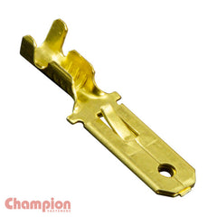 Champion - CRIMP TERMINALS MALE LANCED PUSH ON | QCM