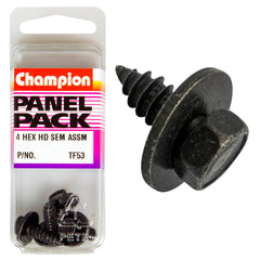 Champion - SELF TAPP SCREWS-SEMS-HEX COMBO DRIVE-FLAT WASHER-5.5x19mm | TF53