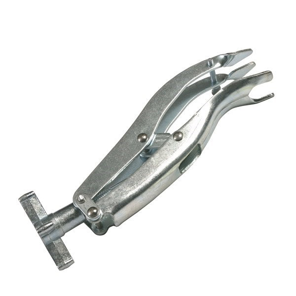 Toledo - Valve Spring Comp S/Valve | 304185