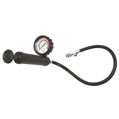 Toledo - Pump with Hose/Gauge | 308553