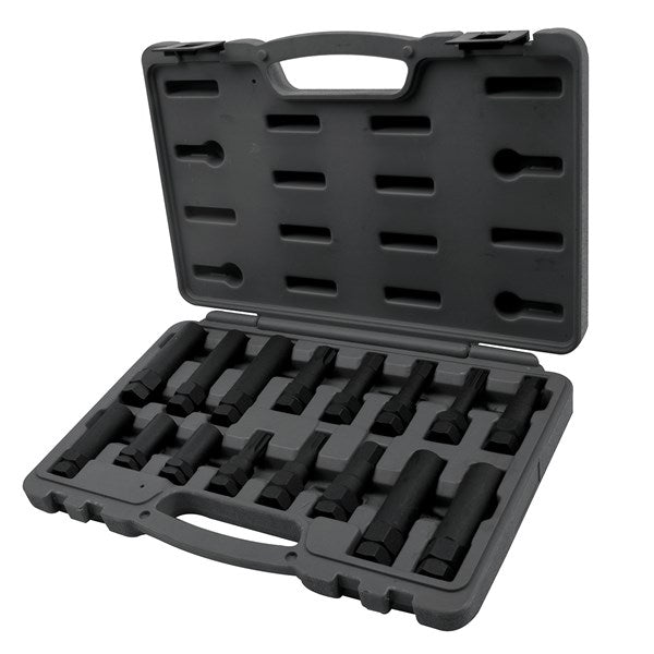 Toledo - Wheel Lock Nut Master Set 16pc | 309249