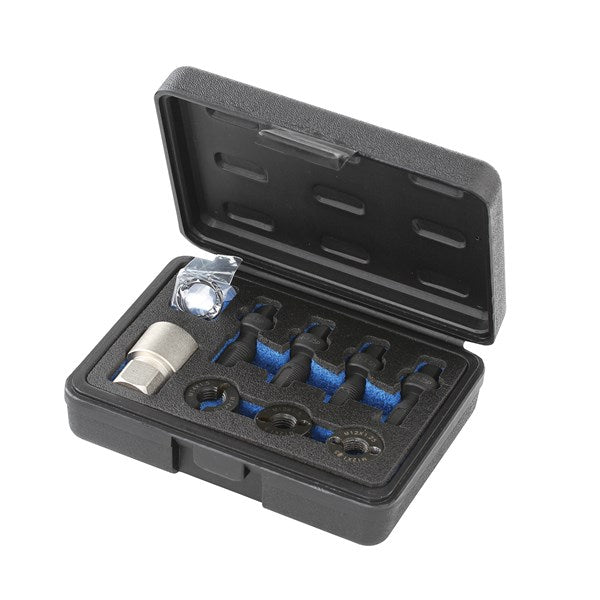 Toledo - Wheel Stud Thread Restorer Kit | 309406