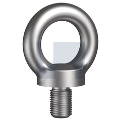 Hobsons - M12 - Lifting Eye Bolt - 316 Stainless - A4 | ULEB16PD5M12