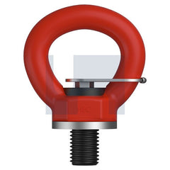 Hobsons - M8 POWDER COAT HEC3776 / GRADE 100 LIFTING SWIVEL EYE BOLT - KEY | ES10BDM8 1)