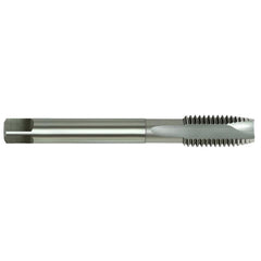 Alpha - HSS-E Tap Spiral Pt.-1/2" x 13