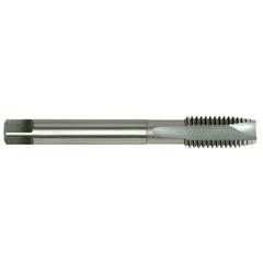 Alpha HSS-E Tap Spiral Pt.-9/16" x 12