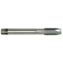 Alpha - HSS-E Tap Spiral Pt.-3/4" x 10
