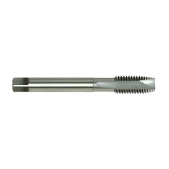 Alpha - HSS-E Tap Spiral Pt.-3/4" x 10