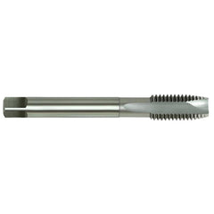 Alpha - HSS-E Tap Spiral Pt.-9/16" x 12