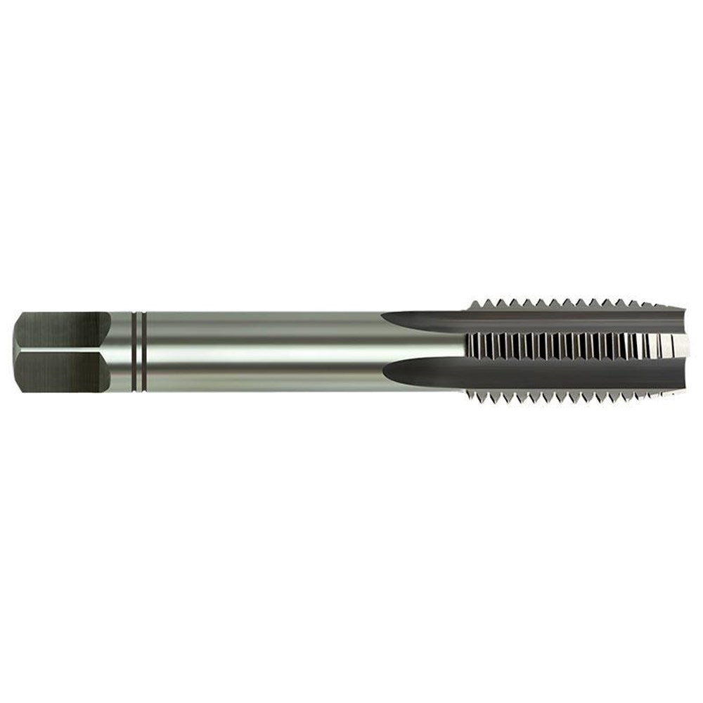 Alpha - HSS Tap Inter x 5