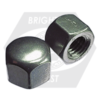 Brighton Best - M8-1.25 - DIN 917 HEX CAP NUTS A2 | V84080
