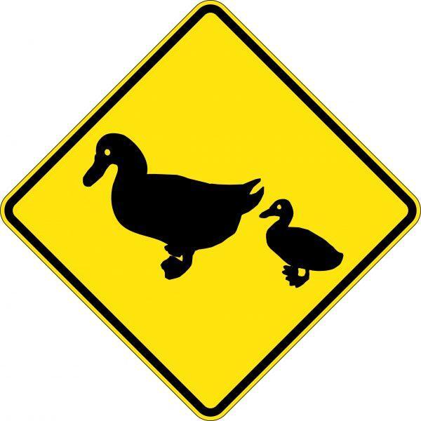 Uniform Safety Signs - 600x600mm - Aluminium - Class 1 - Reflective - Ducks Picto | W5-237A
