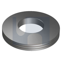 Hobsons - M6 X8 STAINLESS TREP DISC SPRING WASHER 3L | A04618E920 (Pack of 10)