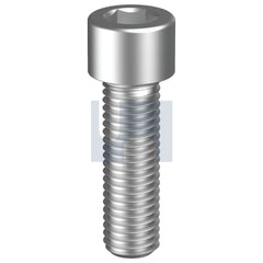 Hobsons - M2 x 12 - Socket Head Cap Screw - 316 Stainless - A4 | SH16PCM020012