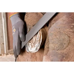 PFERD - Horse Shoe File 3515 350 | 13180350