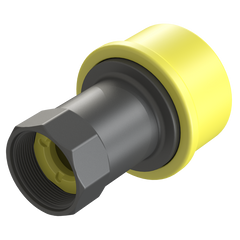 IFS Tema BSP Female Valved Plug Viton Seal
