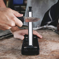 WorkSharp Angle Set Sharpener | WSBCHAGS-I