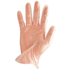 Surepak - Vinyl Powder Free Clear 9 Large | GLOVES-VINYLPFCLRL