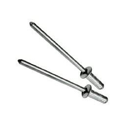 Bremick - All SS304 Sealed Rivet Truss Head 5-4 (5/32" x 1/4") (Box of 1000)