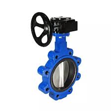 AIP - Butterfly Valve Cast Iron Lugged Table E Nbr Gear Operated - 24" | 25-824-384 | BFVGOL600