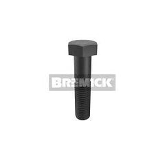 Bremick - Grade 8.8 ISO Bolt Black M20 x 140mm (Box of 10)