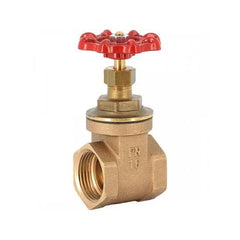 AIP - Gate Valve Bronze Red Handle General Purpose BSP - 2-1/2" | 25-210-040 | UTGV63
