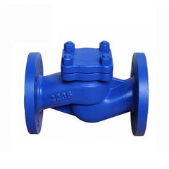 AIP - Check Valve Cast Iron Diaphragm Sbr Female BSP - 1" | 25-890-016 | G8V25BG