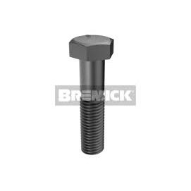 Bremick - Grade 10.9 ISO Bolt Black M36 x 140mm (Box of 2)
