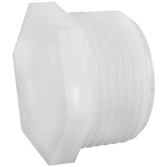 AIP - Plug White Nylon Hex BSP - 1" | 58-571-016 | F1000