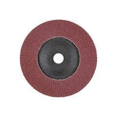 Pferd - Polifan Pfc 180 A60 Psf Steelox (Pack of 10) | 67746185-10